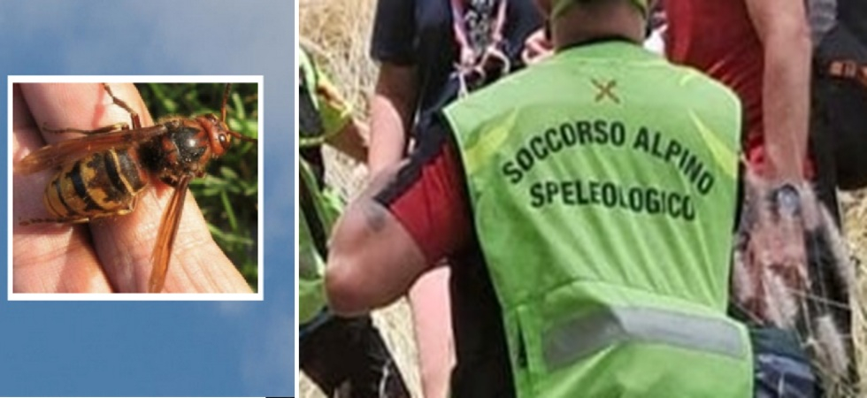Punta da un insetto va in shock anafilattico, momenti di paura per una ragazza di 17 anni