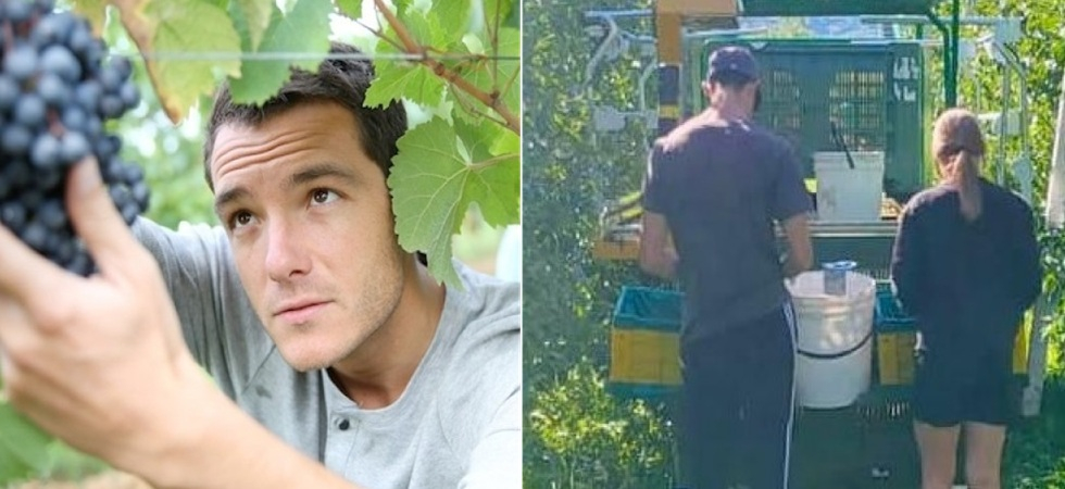 Manca la terra per i giovani agricoltori?