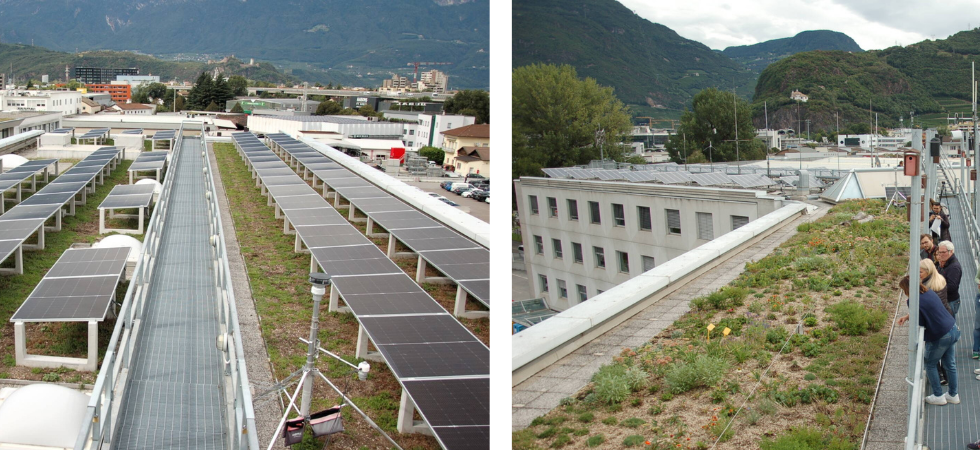 Tetti verdi e fotovoltaico: così Bolzano sta trasformando le coperture degli edifici pubblici