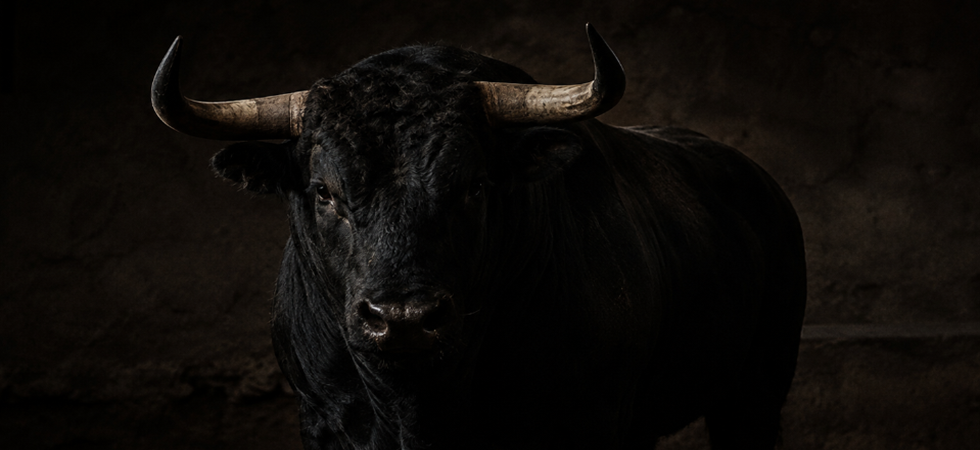Allevatore ucciso incornato da un suo toro, abbattuto l'animale ritenuto pericoloso