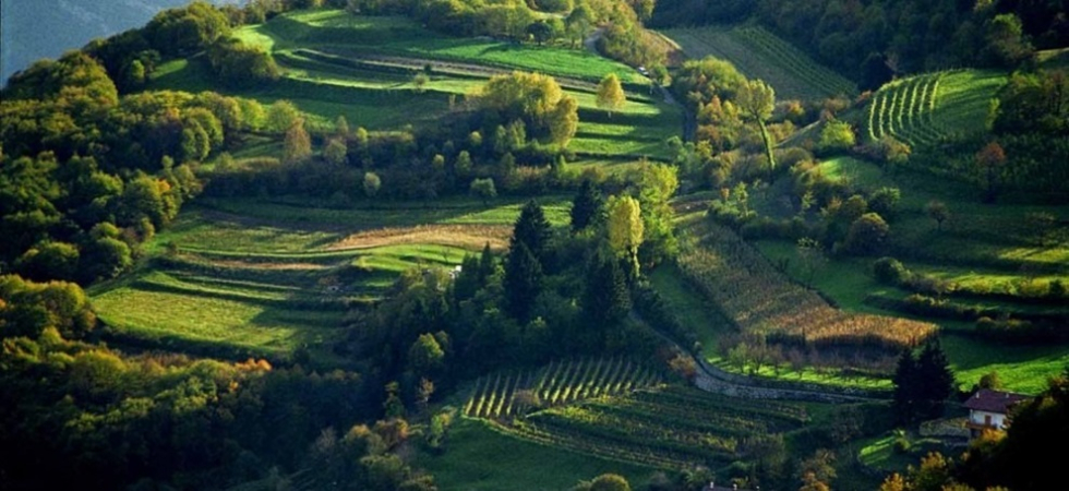 La val di Gresta punta sul recupero dei pascoli e sull'approvvigionamento idrico