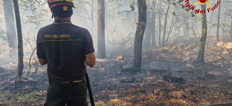 Carso ancora nella morsa degli incendi: due roghi scoppiano contemporaneamente, complessa operazione dei vigili del fuoco