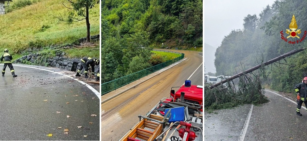 Piante sull'asfalto, muretti divelti e strade allagate: giornata di super lavoro per i vigili del fuoco bellunesi