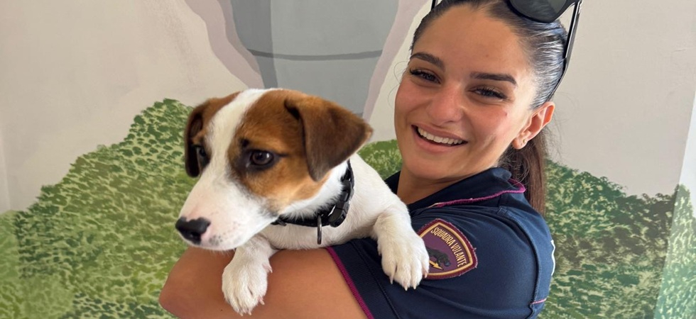 Cucciolo investito in fin di vita: l'auto della padrona rimane bloccata nel traffico, la polizia la scorta dal veterinario