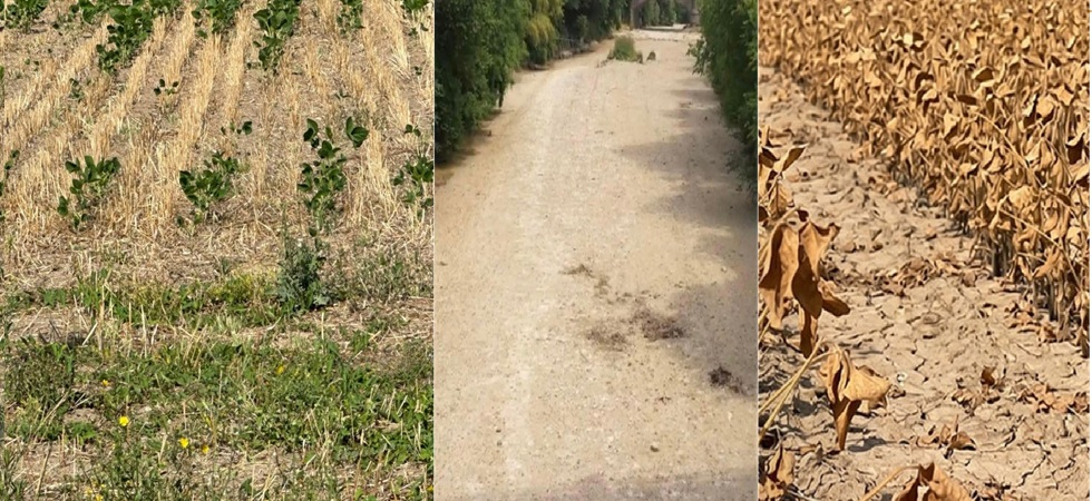 “Una crisi agricola peggiore del 2022”