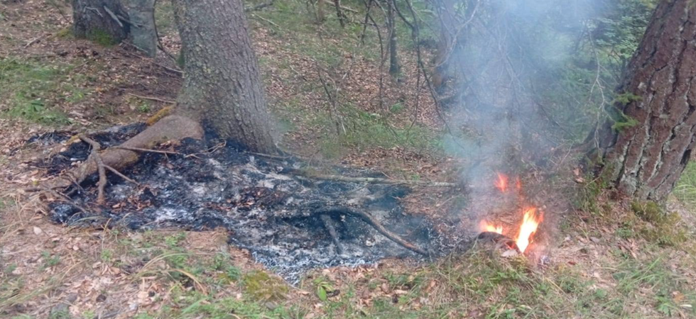 Allarme fuochi zombie'': L'incendio ha covato nel sottosuolo per giorni