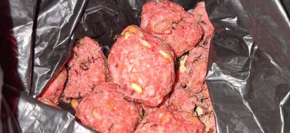 Foto da BzNews24 Polpette avvelenate nel parco, nascoste tra i cespugli