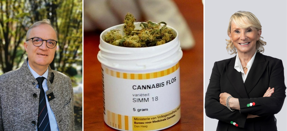 Cannabis terapeutica, bocciato il ddl del Team K: "Un'occasione sprecata"