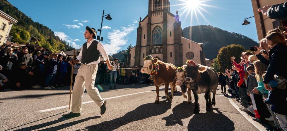 Foto di Mattia Rizzi per Azienda per il turismo Fiemme e Cembra La Desmontegada de le Vache: tradizione e festa nel cuore di Predazzo