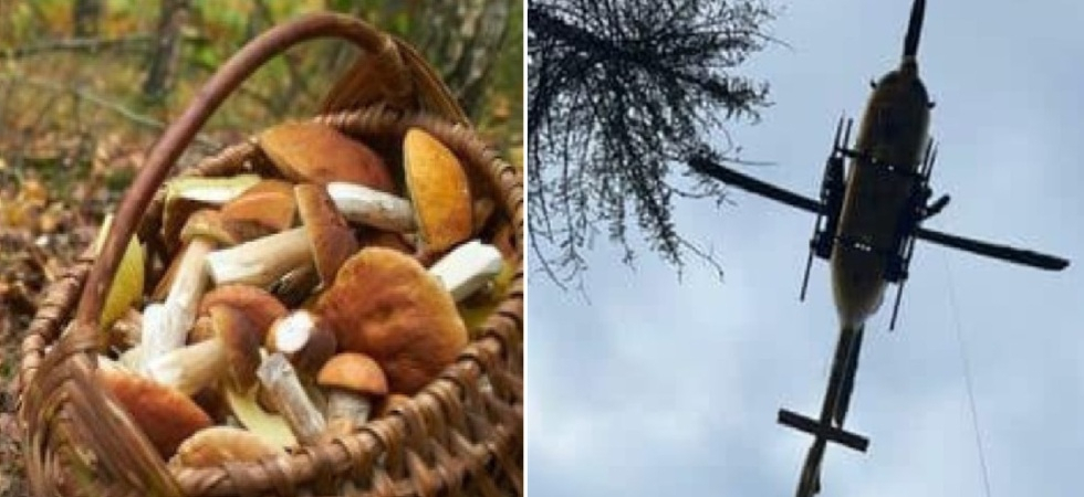 Dramma nei boschi: 68enne muore durante la raccolta dei funghi
