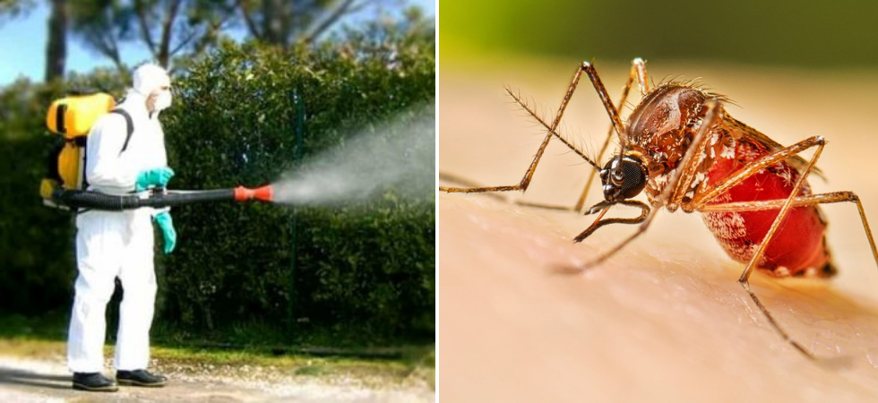 Caso di Dengue in città, prevista la disinfestazione in tre notti consecutive: i dettagli dell'intervento
