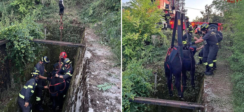 (foto vigili del fuoco Belluno) (foto vigili del fuoco Belluno)