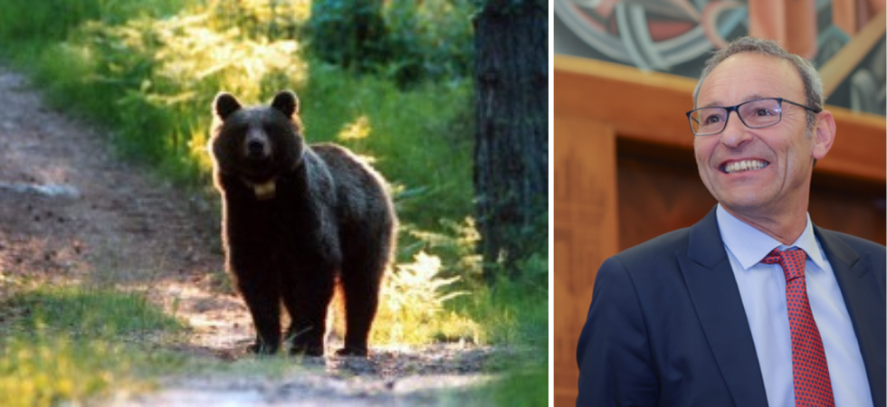 Failoni: Orso in Bondone?
