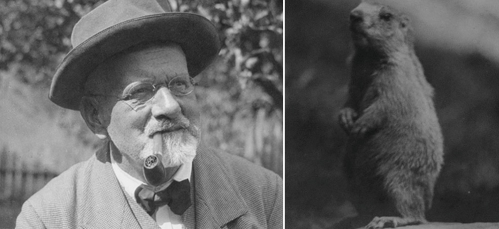 "Venne da me con una marmotta tra le mani insanguinate, poi la mise nello zaino e scalò una montagna"