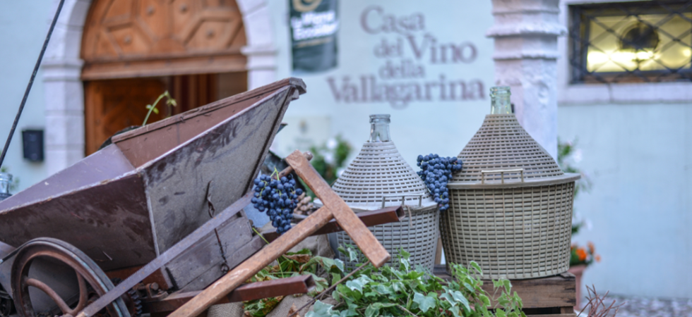 Dal progetto sul sentiero del Marzemino al rapporto con le nuove generazioni, torna La Vigna Eccellente tra memoria e futuro