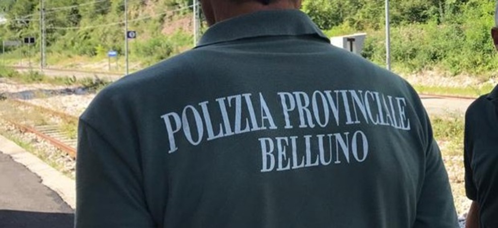Escluso dalla polizia provinciale perché contrario all’uccisione di animali?