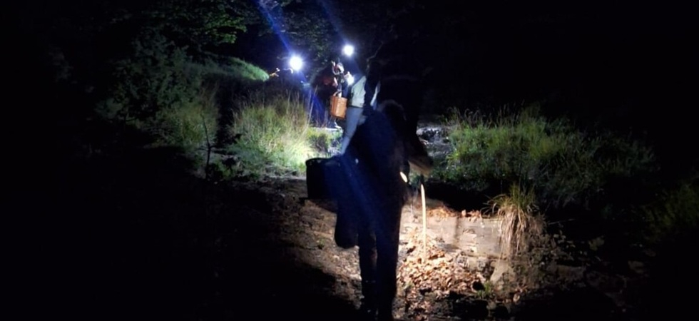 Dramma nel bosco: esce per cercare funghi ma non fa rientro a casa