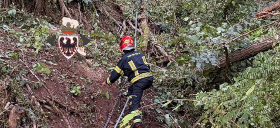 Foto "Federazione dei corpi vigili del fuoco volontari del Trentino" Incidente sul lavoro, 29enne si ferisce durante i lavori di esbosco: accorrono i soccorsi