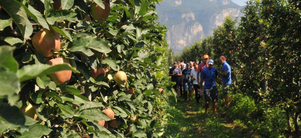 Un corso di formazione per giovani imprenditori agricoli: “Tra i partecipanti l'85% ha concretizzato il suo progetto