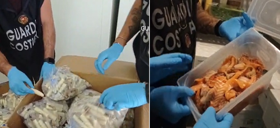 Pesce andato a male, conservato nel ghiaccio sporco e pronto per essere servito