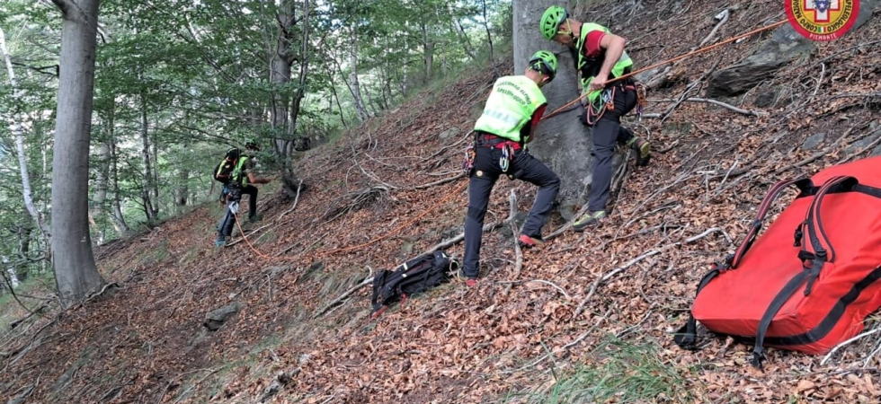 Paura nel bosco per un boscaiolo, colpito da un ramo alla testa perde i sensi