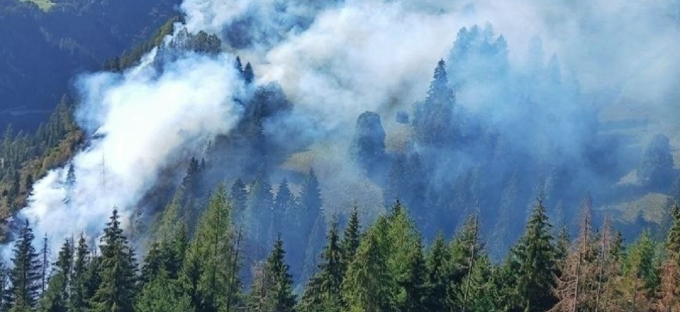 Vasto incendio boschivo, ore di lavoro senza sosta per i vigili del fuoco: squadre impegnate per proteggere le case