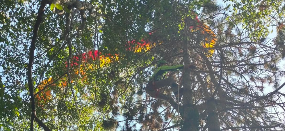 Perde il controllo del parapendio, precipita nel bosco e resta sospeso a dieci metri da terra