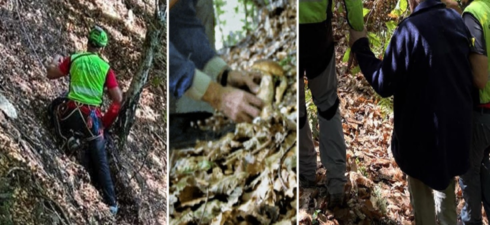 Boschi, la ricerca dei funghi si trasforma sempre più in un’emergenza