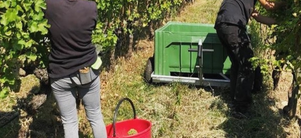 Il Veneto vuole "copiare" la Ganzega ma la Fai Cisl del Trentino è perplessa