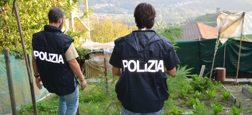 Nell'aria c'è un forte odore di marijuana e scatta la segnalazione