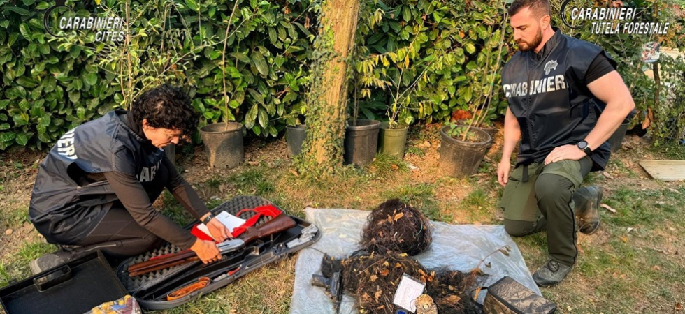 Dal fucile al richiamo acustico elettronico, dai pettirossi morti alle decine di uccelli intrappolati