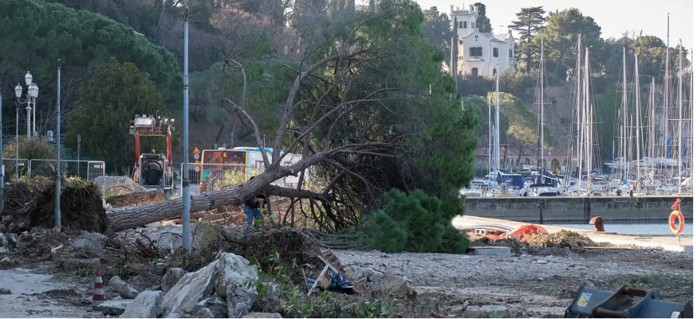 “Per un maxi parcheggio abbattono pini storici e fanno scempio della baia più bella del golfo”