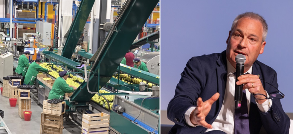 Container bloccati per settimane e rischi crescenti, ma Melinda segna il miglior liquidato della storia