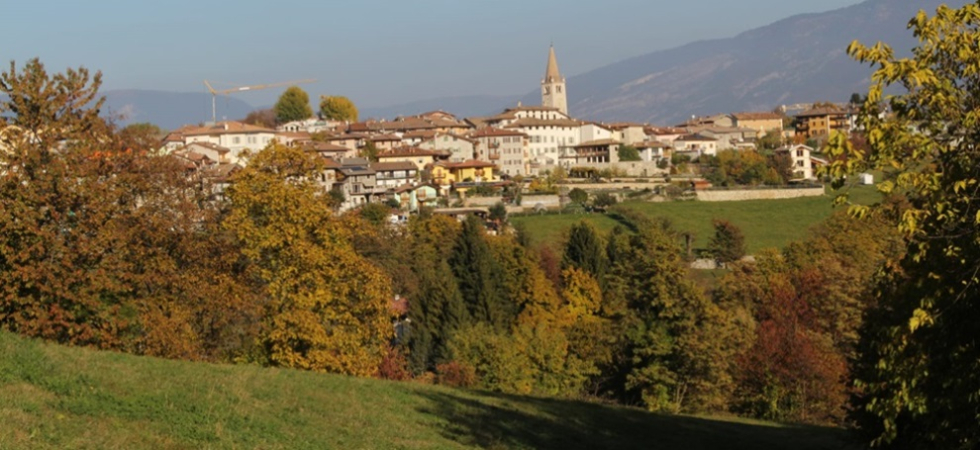 Vigneti in quota, il Comune raddoppia le distanze dalle case per l'uso dei fitofarmaci e c'è l'ok della Commissione ma il