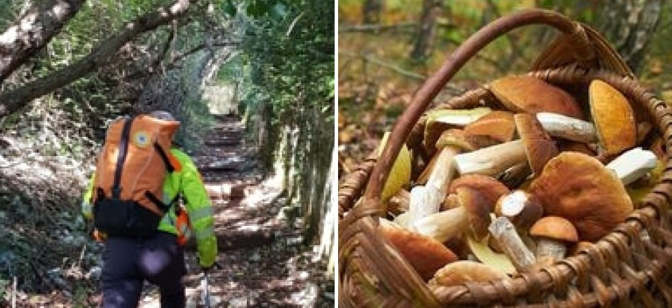 Dramma nei boschi mentre raccoglie funghi: muore a 76 anni Siro Donadon, noto albergatore della zona