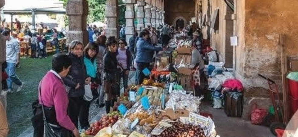 “Valorizziamo i vini bellunesi: tre giorni per dare risalto al nostro lavoro e alla nostra passione”