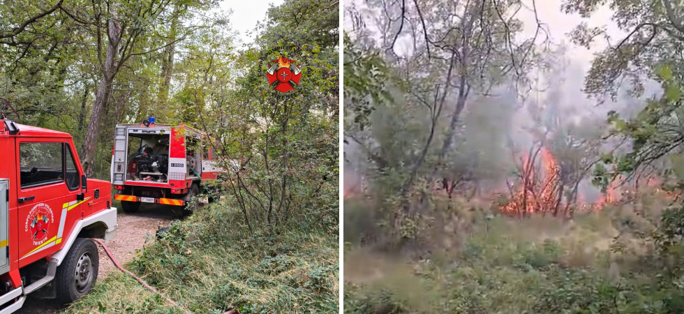 Un'alta colonna di fumo visibile da chilometri di distanza, incendio nel bosco non lontano dalle abitazioni