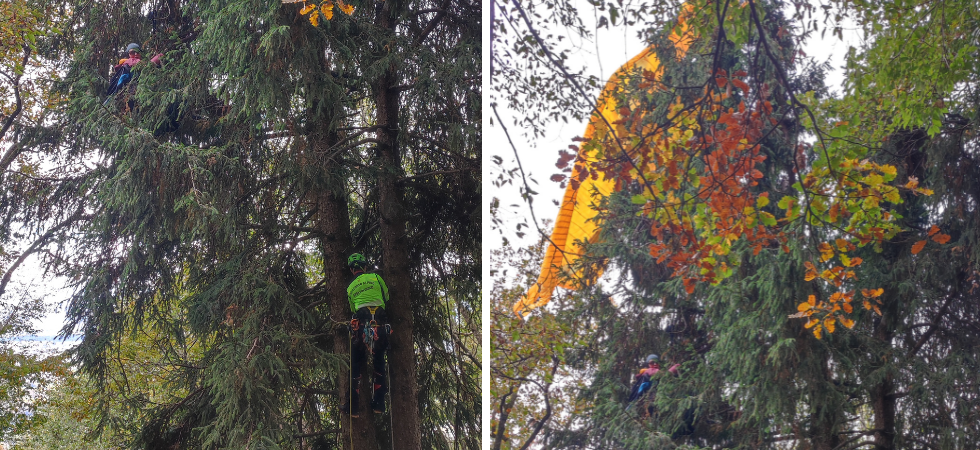 Appesa a un albero a 8 metri di altezza, momenti di paura dopo l'incidente al decollo