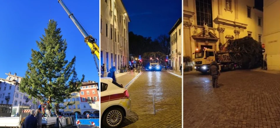 Strada chiusa per il trasporto dell'albero di Natale verso piazza Duomo: ecco quando è programmata la "discesa" dal Bondone