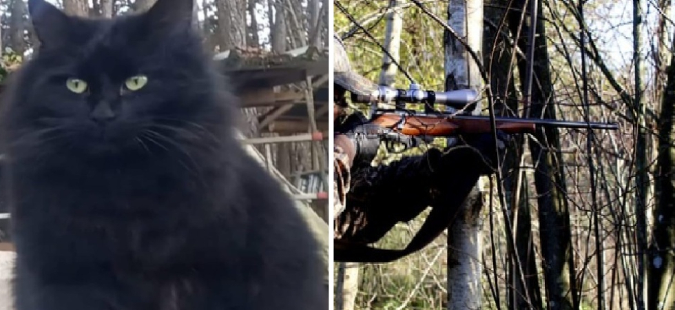 Abbiamo sentito uno sparo vicino alla colonia felina, poi la drammatica scoperta