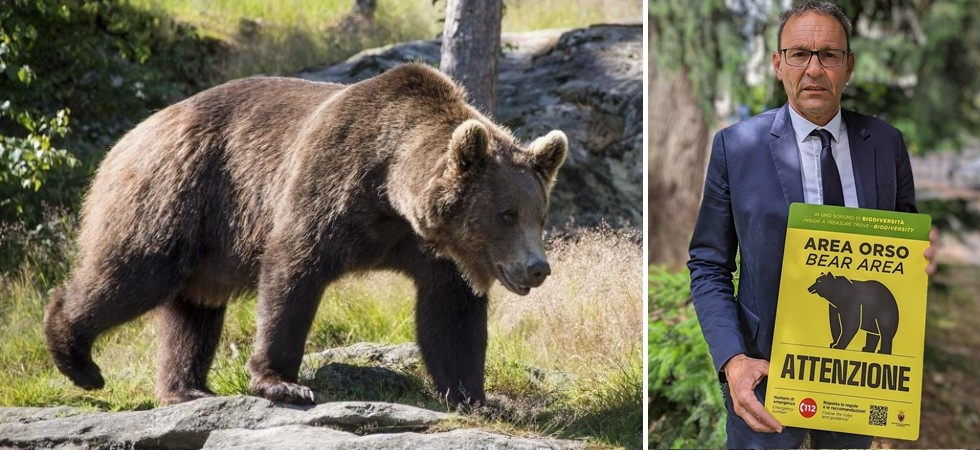 Orsi, per i cartelli informativi calano i turisti in montagna?