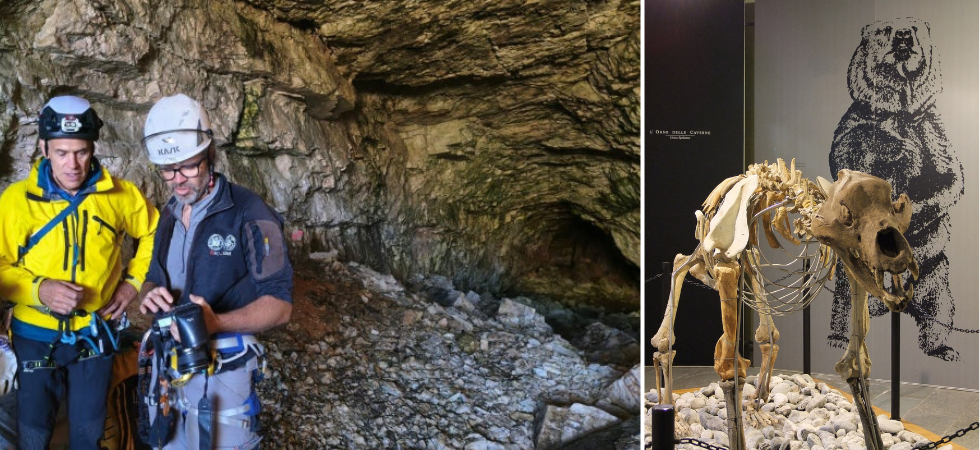 Foto caverna: USP/Soprintendenza provinciale beni archeologici | Foto scheletro di Maurizio Merlo - Own work, CC BY-SA 4.0, https://commons.wikimedia.org/w/index.php?curid=82437176 Orsi preistorici sulle Dolomiti, la scoperta a 2800 metri di quota