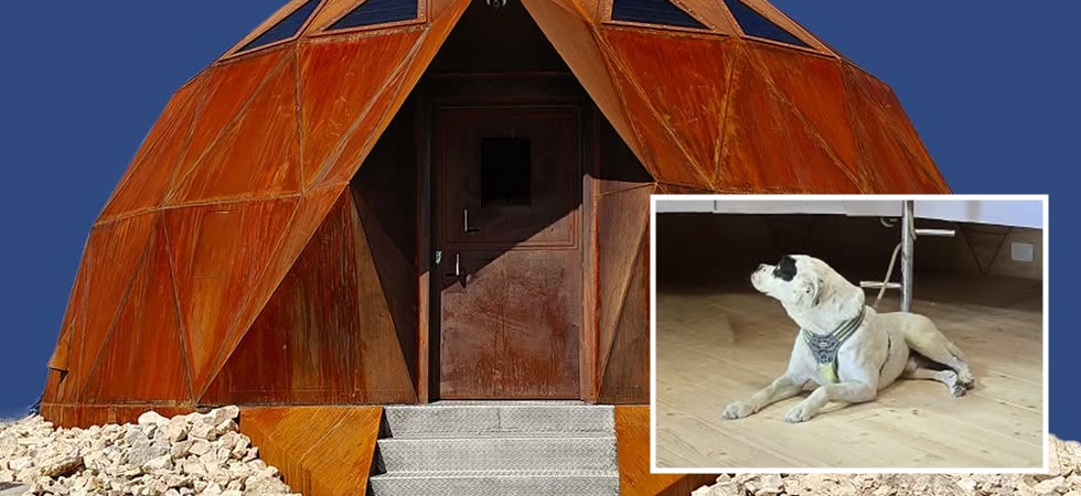 "Niente cani nel bivacco" e sui social si scatena la 'shitstorm', il Parco: "La montagna è di tutti e va rispettata"