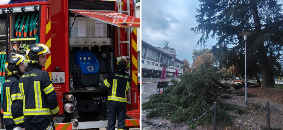 Un grosso ramo si stacca dalla pianta e si schianta al suolo in mezzo alla piazza: momenti di paura in mattinata