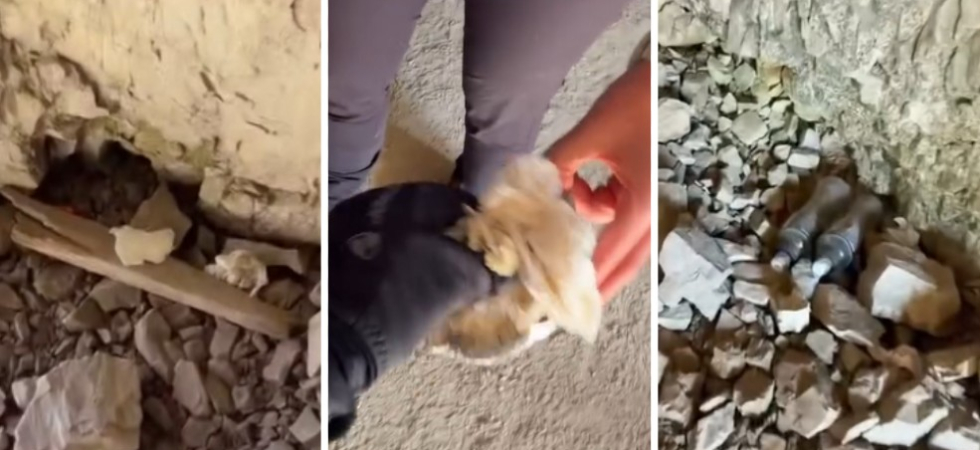 Bottiglie, fazzoletti, una pila e anche un assorbente abbandonati in montagna