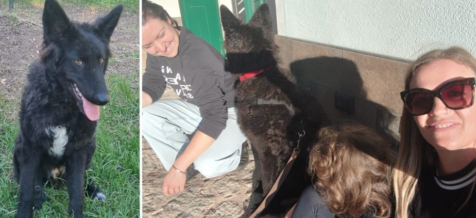 Due sorelle scrivono il 'lieto fine' ad una triste storia: Oggi Nino si chiama Berry e riceve l'amore che merita