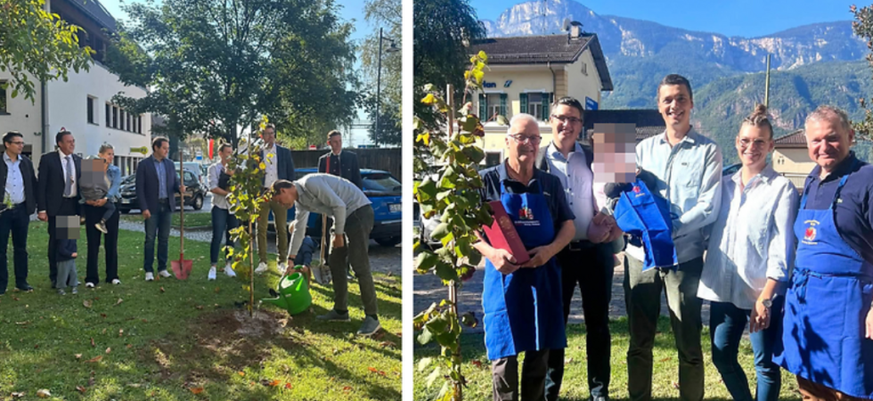 In paese nasce il cittadino numero 5000 e l'amministrazione pianta un albero in suo onore
