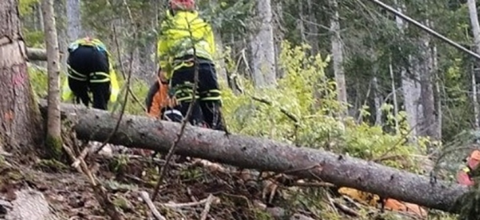 Incidente durante il taglio della legna, operaio di 52 anni rimane ferito