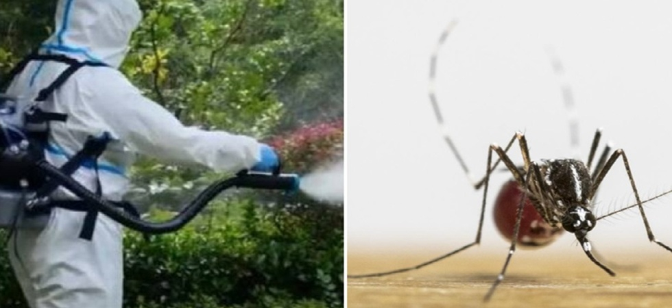 Allarme Dengue, una coppia contagiata e scatta la disinfestazione per tre sere consecutive: l'appello del sindaco