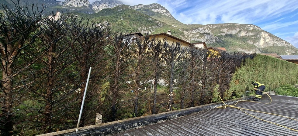 Trova un nido di vespe sotto terra e prova a dargli fuoco, ma brucia 5 metri di siepe